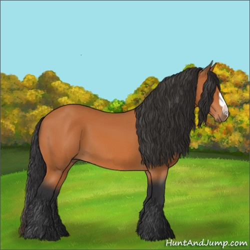 Horse Color:Unknown 