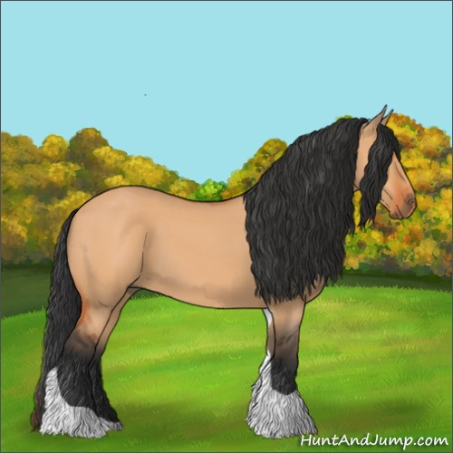 Horse Color:Unknown 