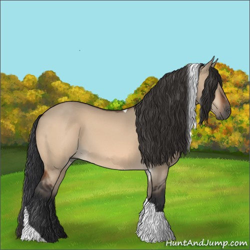 Horse Color:Unknown 