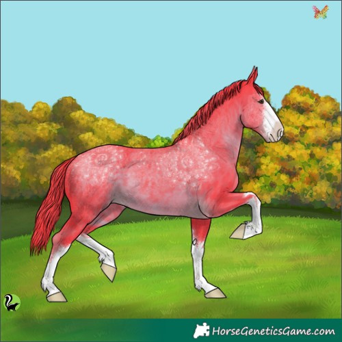 Horse Color:Watercolor White Spotted Liver Chestnut 
