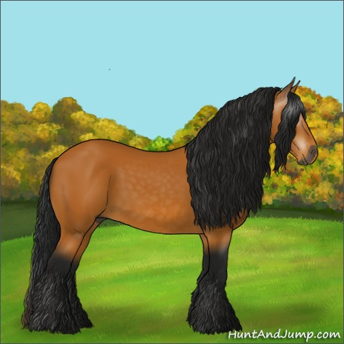 Horse Color:Unknown 
