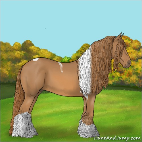 Horse Color:Unknown 