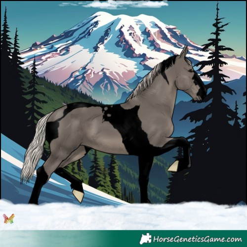 Horse Color:Void Silver Black Tobiano 