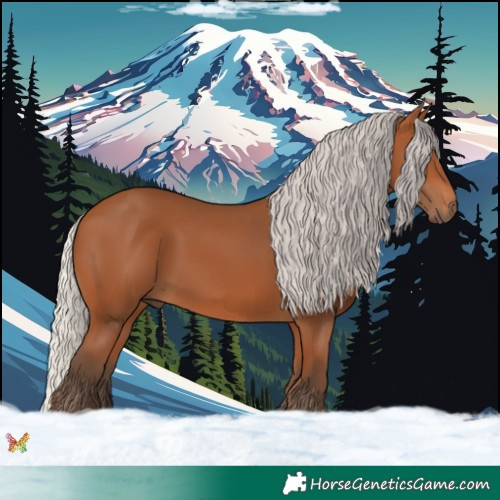 Horse Color:Void Silver Bay 