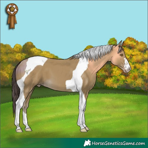 Horse Color:Classic Cream Champagne Tobiano 