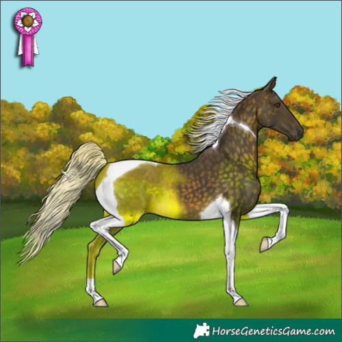 Horse Color:Silver Buckskin Tobiano 