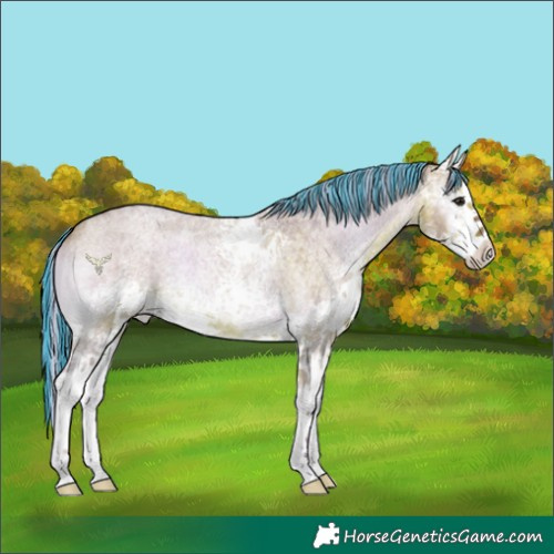 Horse Color:Painted Watercolor White Spotted Silver Bay Roan Onyx 