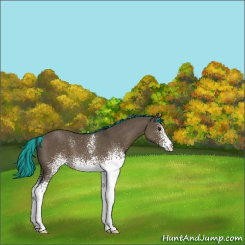 Horse Color:Painted White Spotted Smoky Grullo 