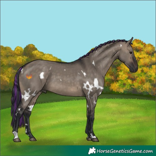 Horse Color:Painted White Spotted Brown Dun 