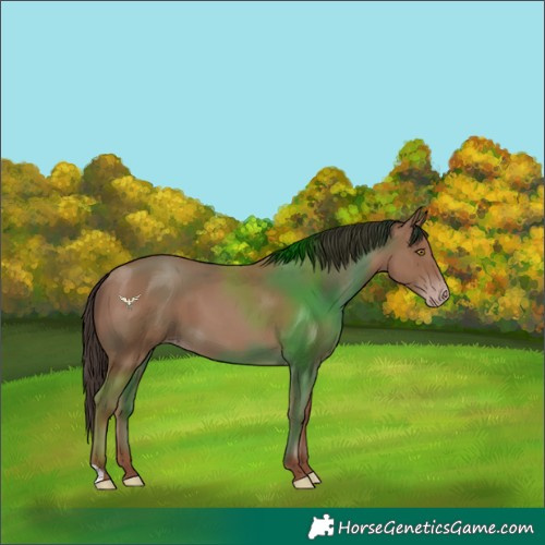 Horse Color:Classic Champagne 