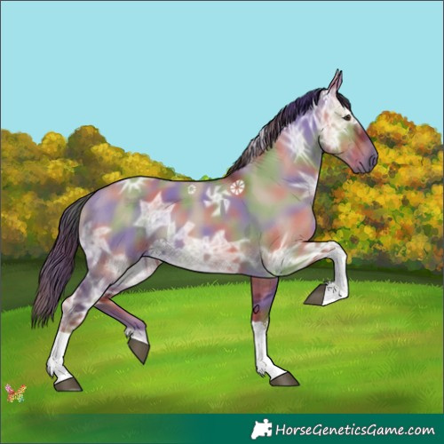 Horse Color:Nacre Liver Red Dun Ice Tobiano 