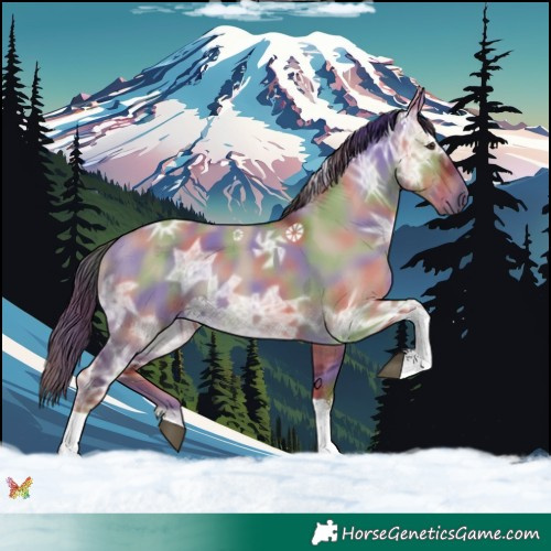 Horse Color:Nacre Liver Red Dun Ice Tobiano 