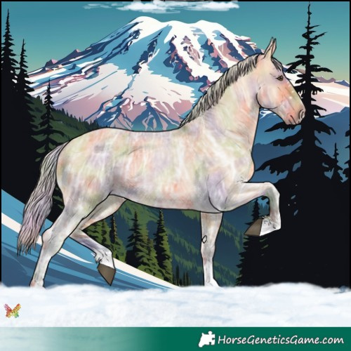 Horse Color:Nacre Silver Buckskin Ice Roan Dun 