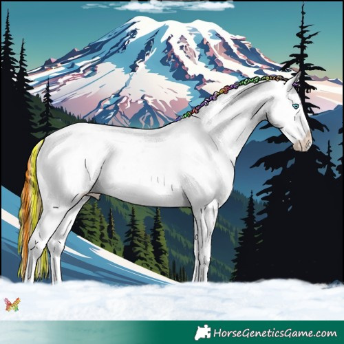 Horse Color:Painted Bay Ice Roan Splash Appaloosa 