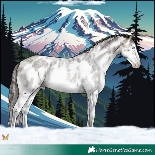 Horse Color:Bay Ice Roan Splash Appaloosa 