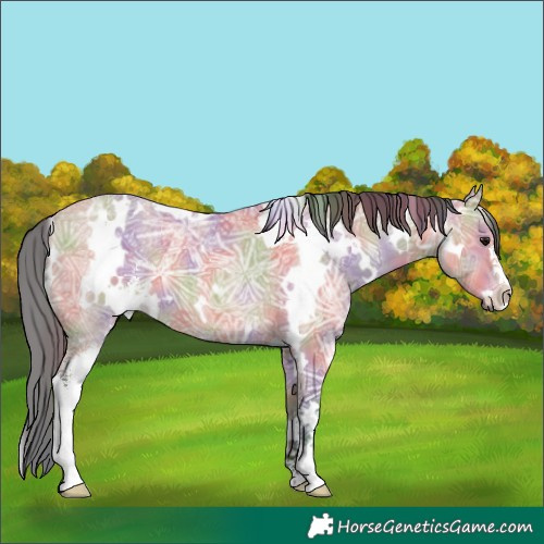 Horse Color:Platinum Nacre White Spotted Bay Ice Sabino 