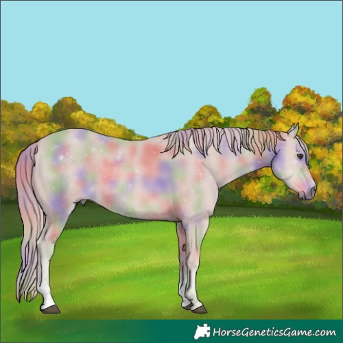 Horse Color:Platinum Nacre Chestnut Sabino 