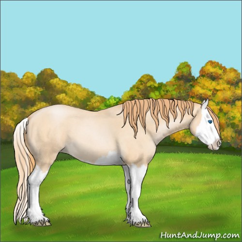 Horse Color:Buckskin Roan Pearl Splash 