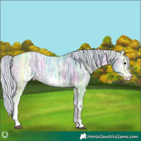 Horse Color:Watercolor White Spotted Silver Blue Onyx Ice