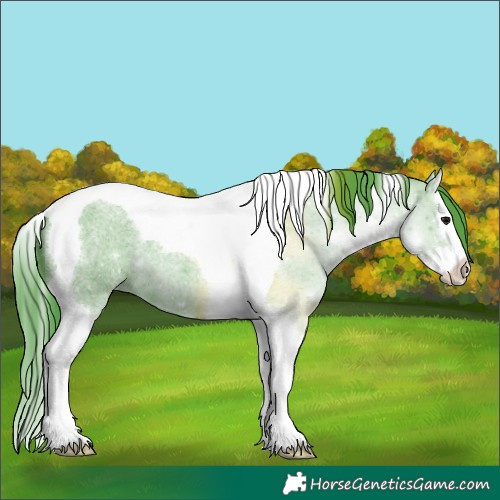 Horse Color:Watercolor Blue Roan Splash Tobiano 