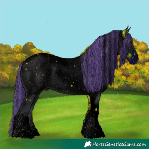 Horse Color:ERROR: UNKNOWN ANOMALY