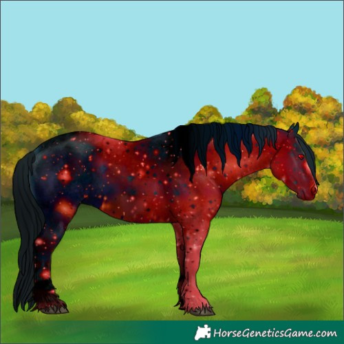 Horse Color:ERROR: UNKNOWN ANOMALY