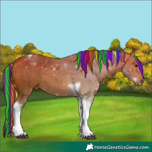 Horse Color:Painted Bay Tobiano 
