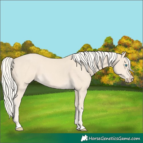 Horse Color:Cremello 