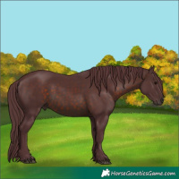 Horse Color:Chocolate Brown 