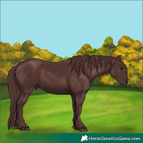 Horse Color:Chocolate Brown 