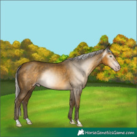 Horse Color:Gray Silver Sable Cream Champagne 