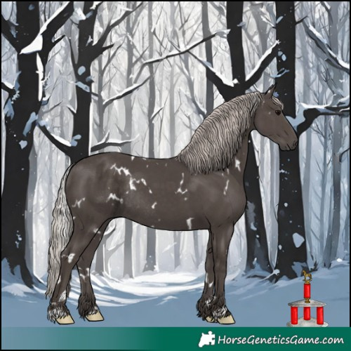 Horse Color:White Spotted Silver Black Rabicano 
