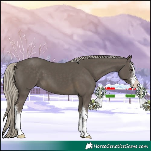 Horse Color:White Spotted Silver Smoky Black 