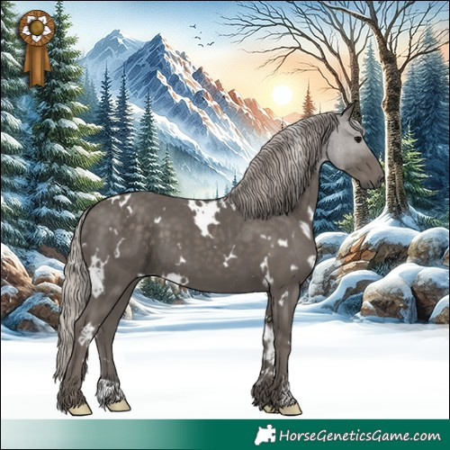 Horse Color:White Spotted Silver Black 