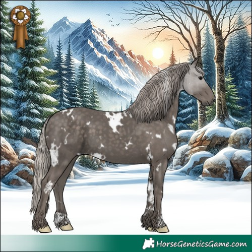 Horse Color:White Spotted Silver Black 