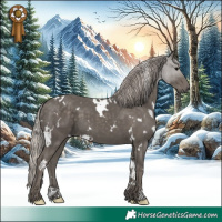 Horse Color:White Spotted Silver Black 