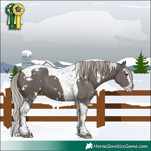 Horse Color:White Spotted Silver Black Splash Tobiano 