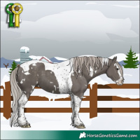 Horse Color:White Spotted Silver Black Splash Tobiano 