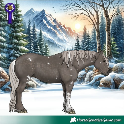 Horse Color:White Spotted Silver Black Tobiano 