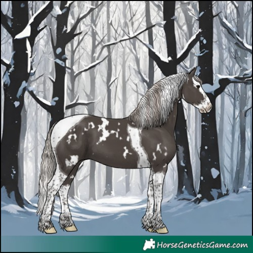 Horse Color:White Spotted Silver Black Splash Tobiano