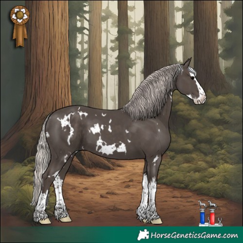Horse Color:White Spotted Silver Black Splash 