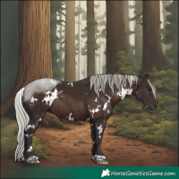 Horse Color:White Spotted Silver Brown Rabicano 