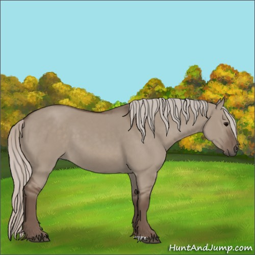 Horse Color:Silver Grullo 