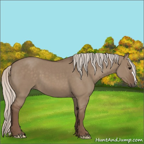 Horse Color:Silver Grullo 