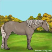 Horse Color:Silver Grullo 