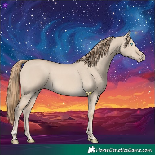 Horse Color:Smoky Creme Dun 