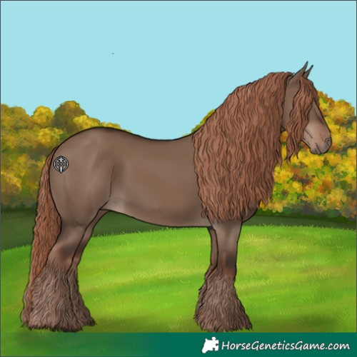Horse Color:Liver Red Dun Rabicano 