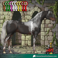 Horse Color:Liver Chestnut Mushroom Tobiano