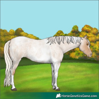 Horse Color:Silver Blue Roan Pearl Tobiano Frame