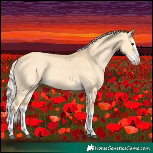 Horse Color:Palomino Dun Splash